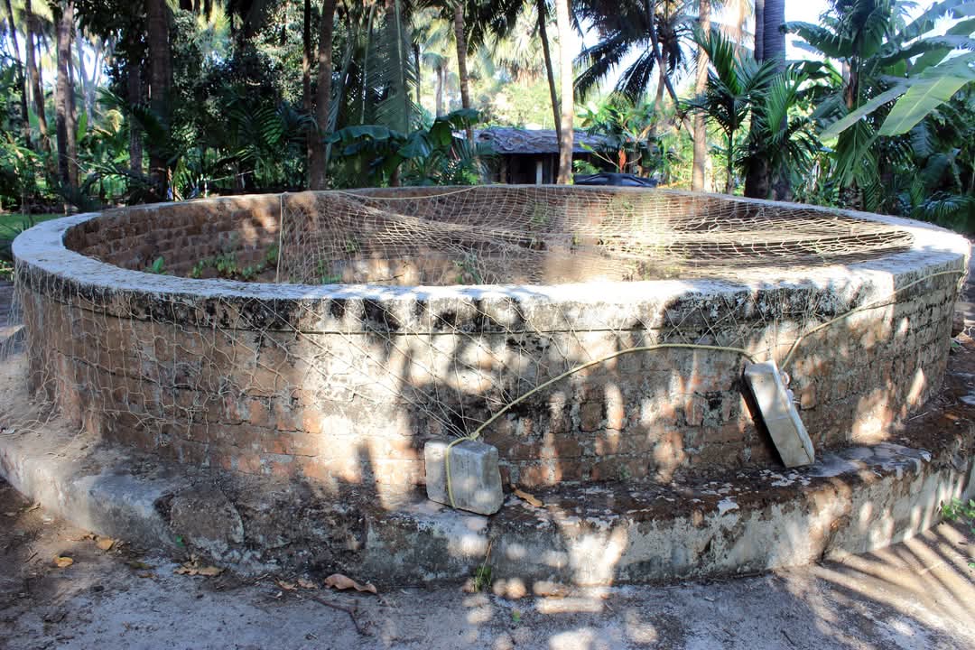 Well, Tarapur Fort